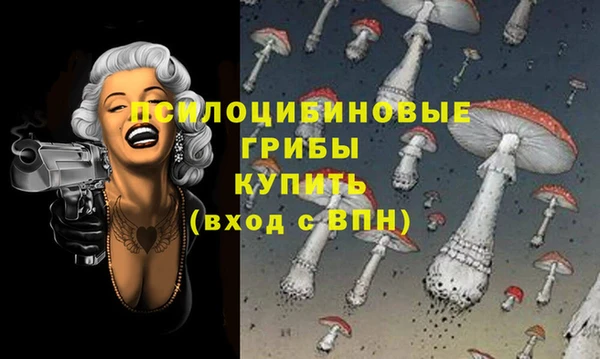 a pvp Абаза