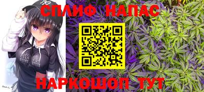 a pvp Кингисепп
