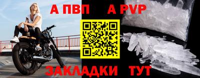a pvp Кингисепп