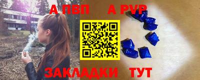 a pvp Кингисепп