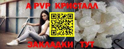 a pvp Кингисепп