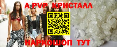 a pvp Кингисепп