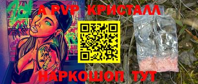 a pvp Кингисепп