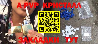a pvp Кингисепп