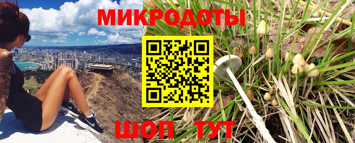 Псилоцибиновые грибы Cubensis Лесозаводск