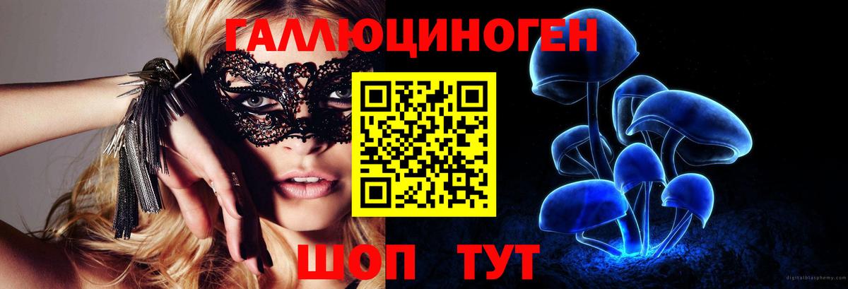 Лесозаводск  Галлюциногенные грибы GOLDEN TEACHER  Вход с VPN 